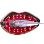 Dr Dennis Gross Spectralite LipWare Pro