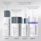 Dermalogica Home For The Hlidays