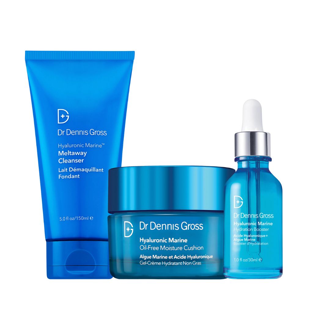 Dr Dennis Gross Kit för torr hud
