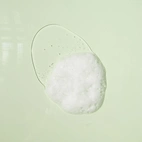 Dr. Ceuracle Tea Tree Purifine Cleansing Foam
