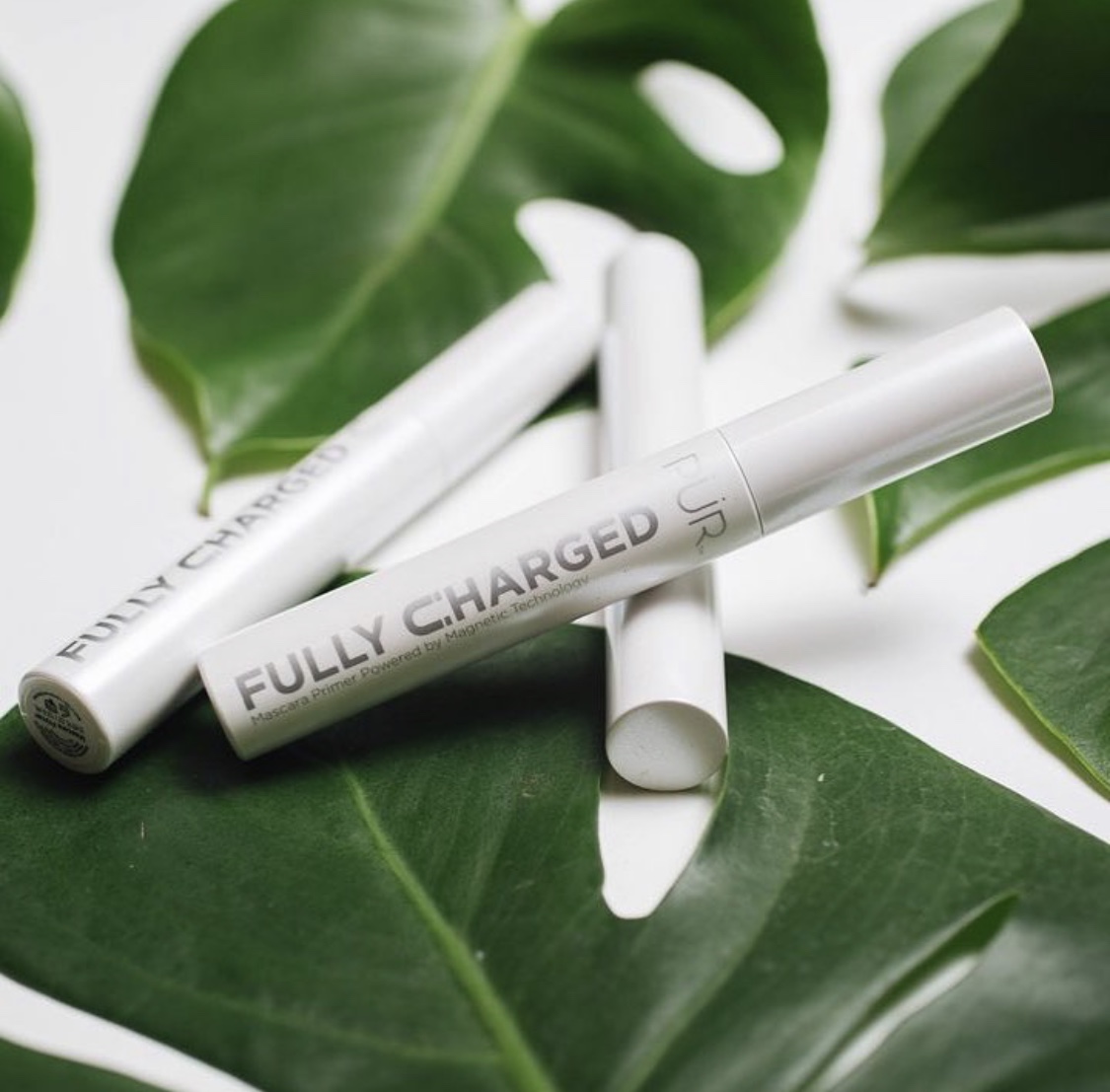Pur Fully Charged Primer