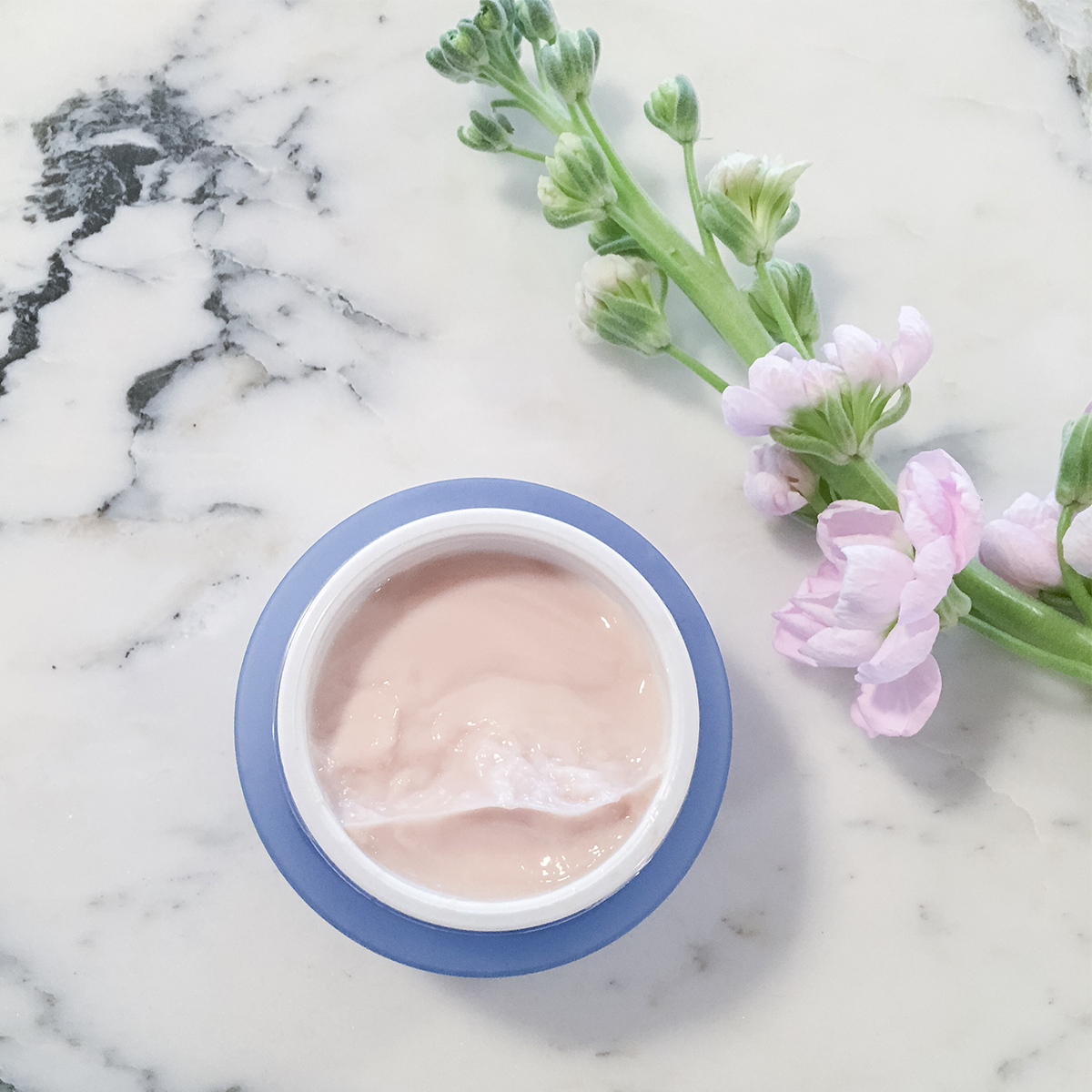 Beauté Pacifique Superfruit Skin Enforcement Night Creme